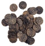 sacchetto da 50 monete d’oro finte (copia)
