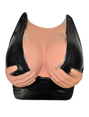 busto sexy da donna con décolleté (copia)