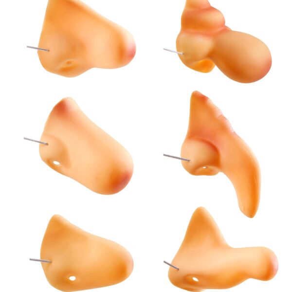 naso finto