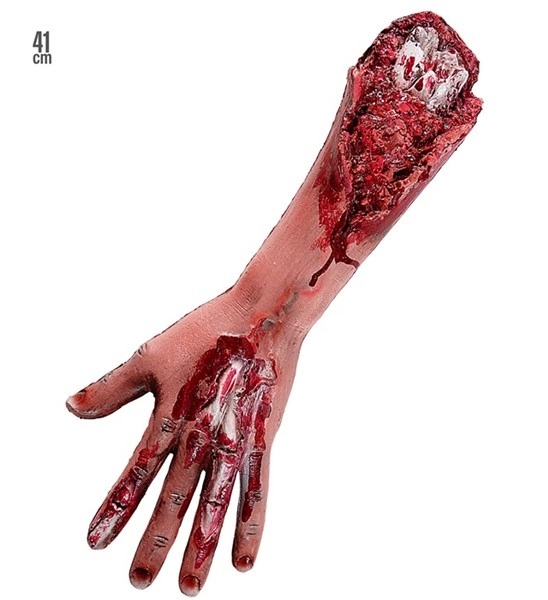 braccio mozzato e insanguinato (copia)