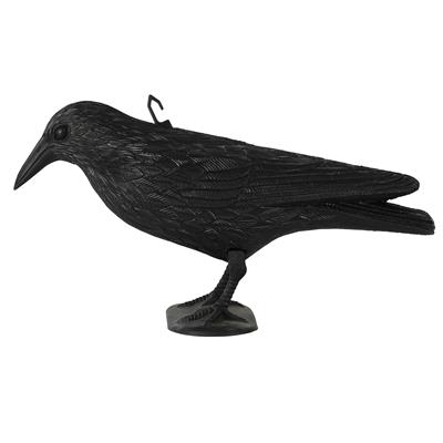 corvo nero in piume (copia)