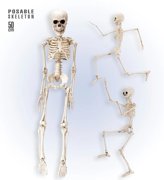 scheletro posabile 40cm (copia)