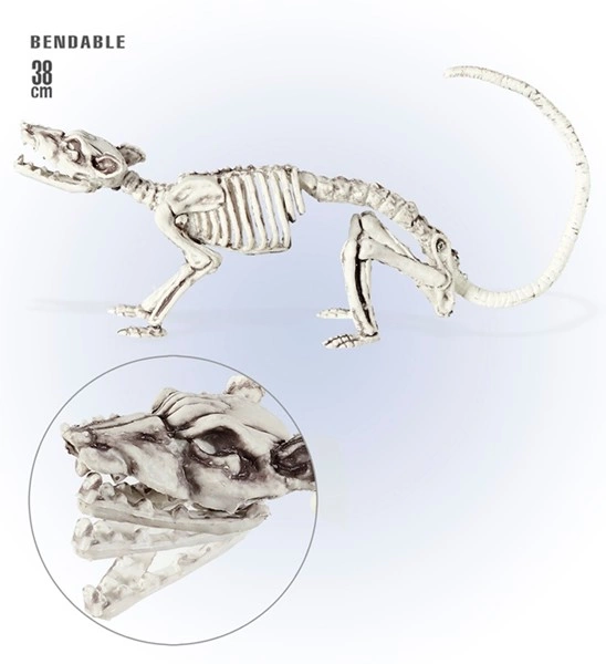 scenografia scheletro di iguana (copia)