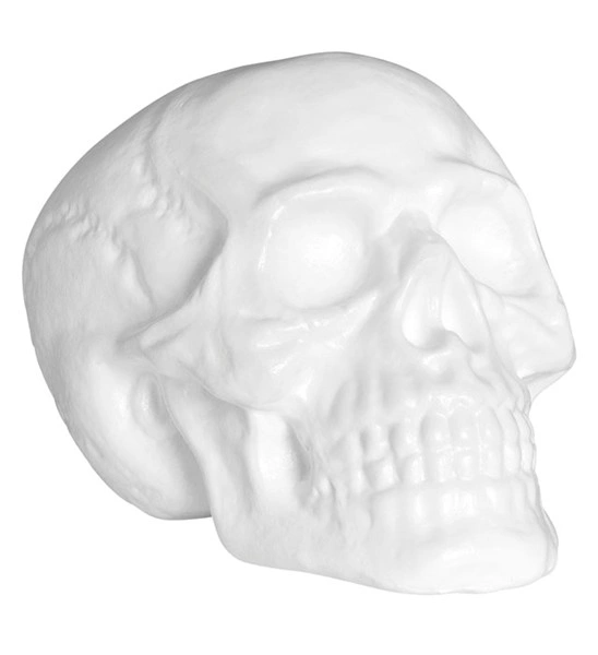 teschio in plastica 28cm (copia)