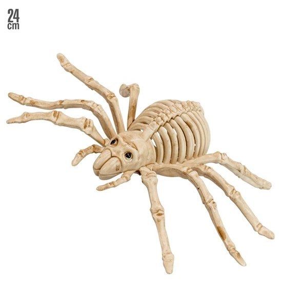 scenografia scheletro di pipistrello (copia)