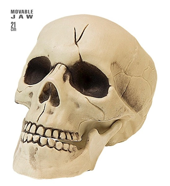 teschio con mandibola mobile 18 cm (copia)