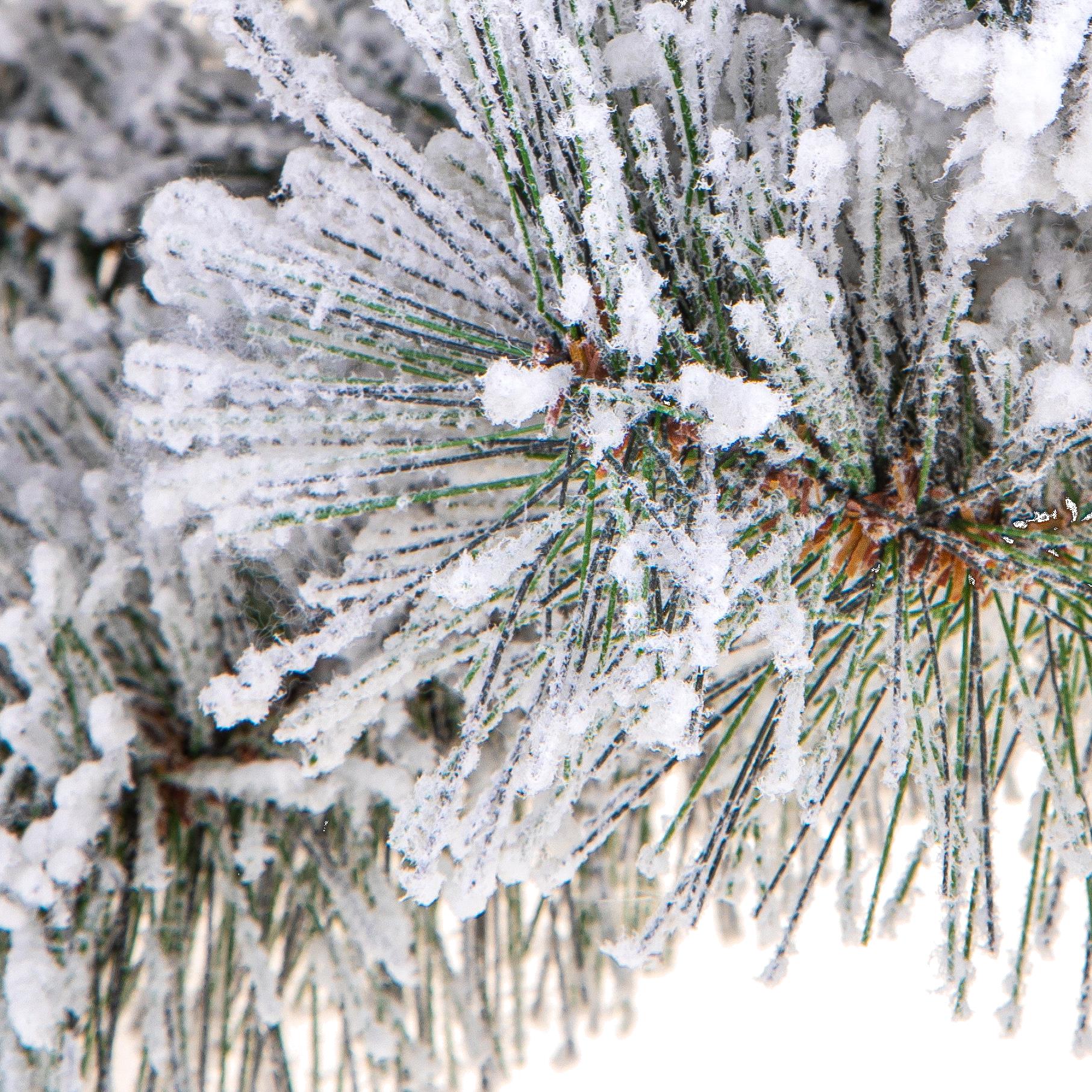 albero di natale innevato con base in juta – 90 cm (copia)