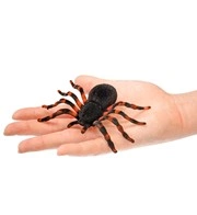 ragnatela arancione con 3 ragni (copia)