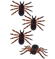 ragnatela arancione con 3 ragni (copia)
