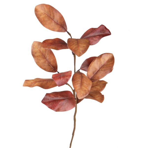 foglie di palma naturali essiccate decorative con rafia (copia)