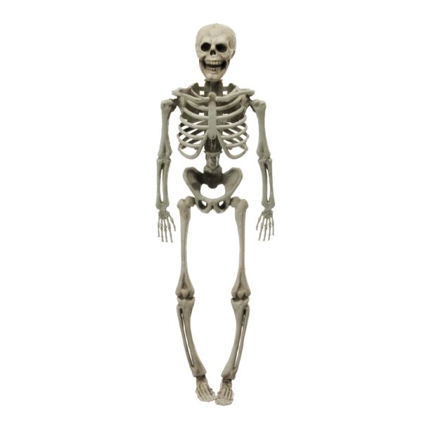 scenografia scheletro umano halloween in plastica a grandezza decorativa (copia)