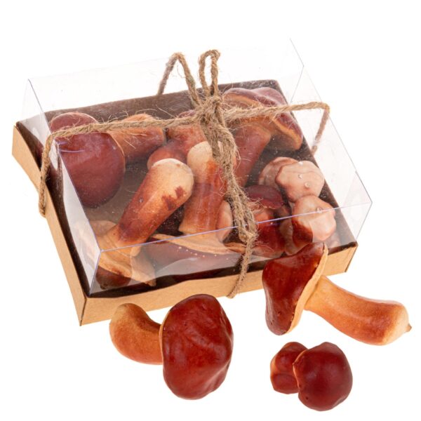 funghi autunnali decorativi da appendere – 15 cm (copia)