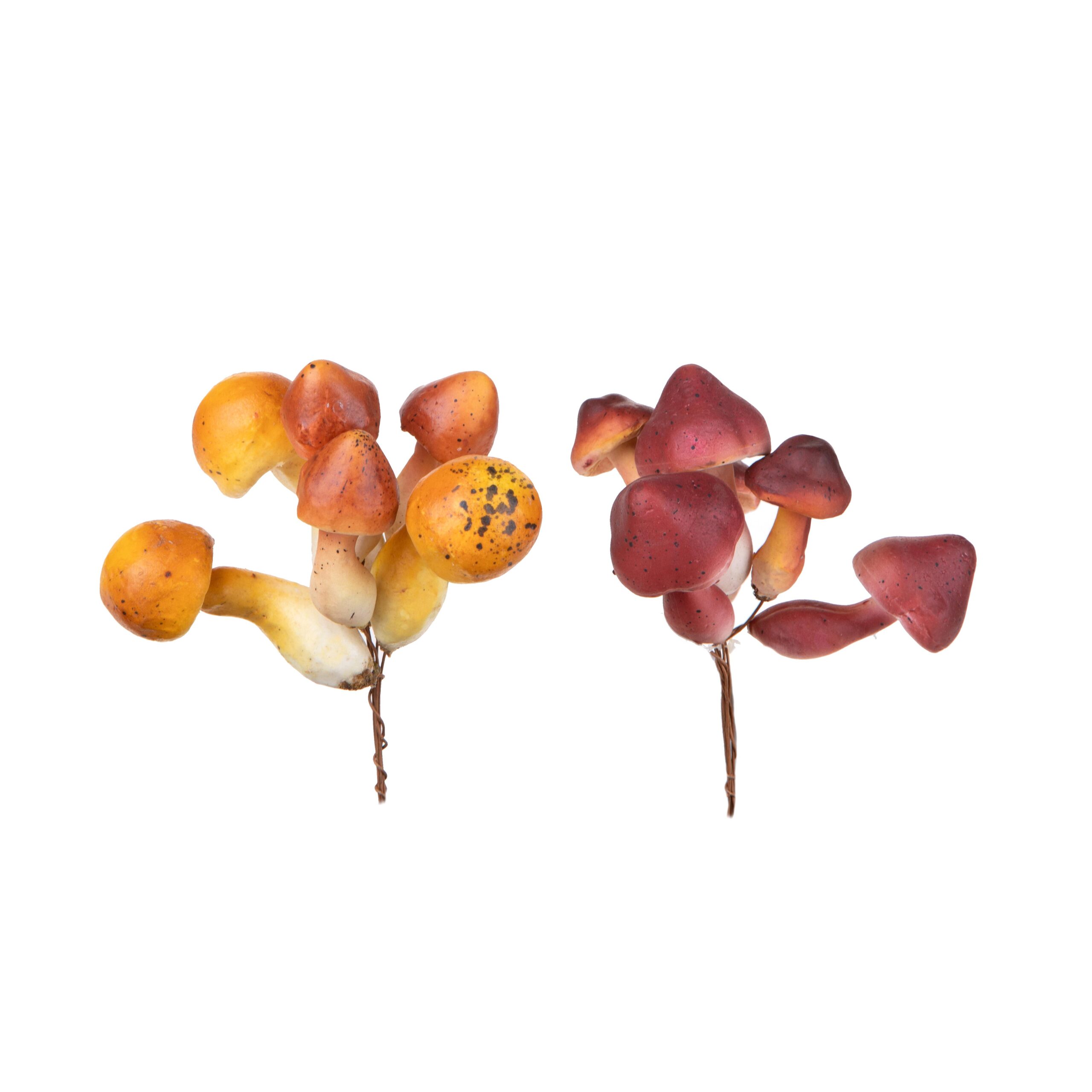 pick funghi decorativi autunnali assortiti (copia)