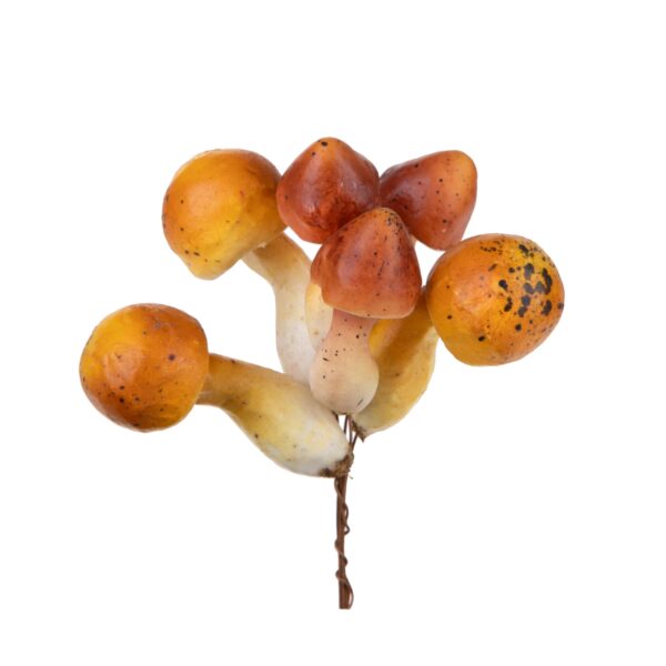 pick funghi decorativi autunnali assortiti (copia)