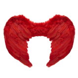 Ali Piumate Rosse
