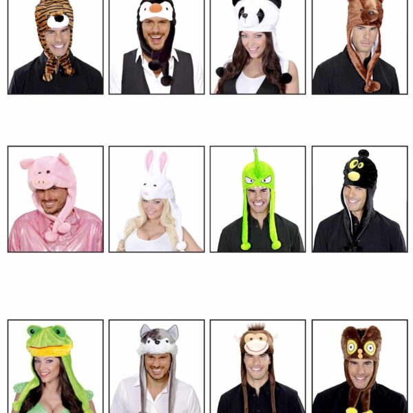 Cappelli da Animale Soggetti Assortiti