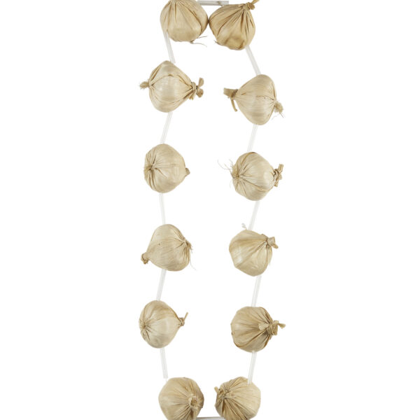 Collana Aglio da Vampiro