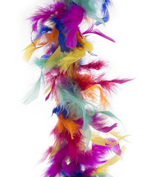 Boa Multicolor 45 gr.