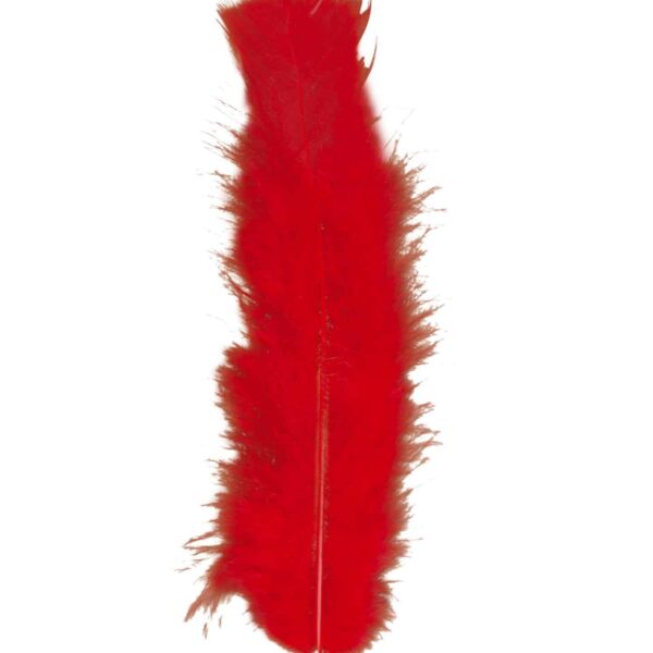 Piume Rosse