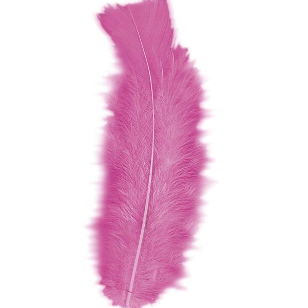 Piume Rosa