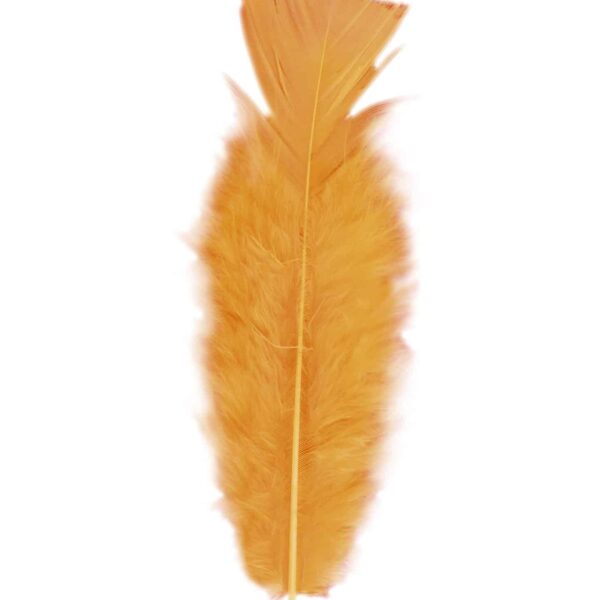 Piume Arancioni