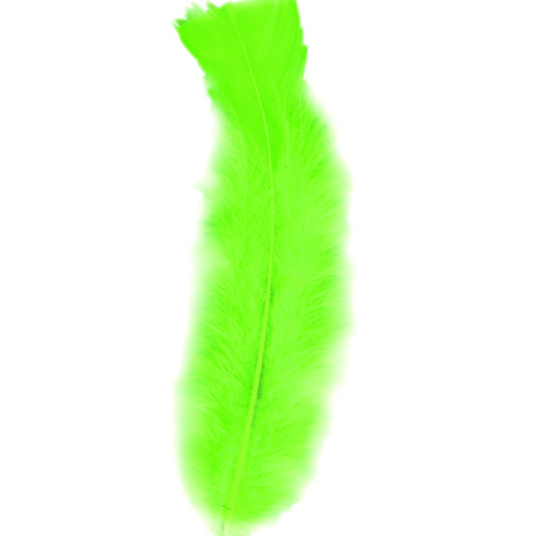 Piume Verdi