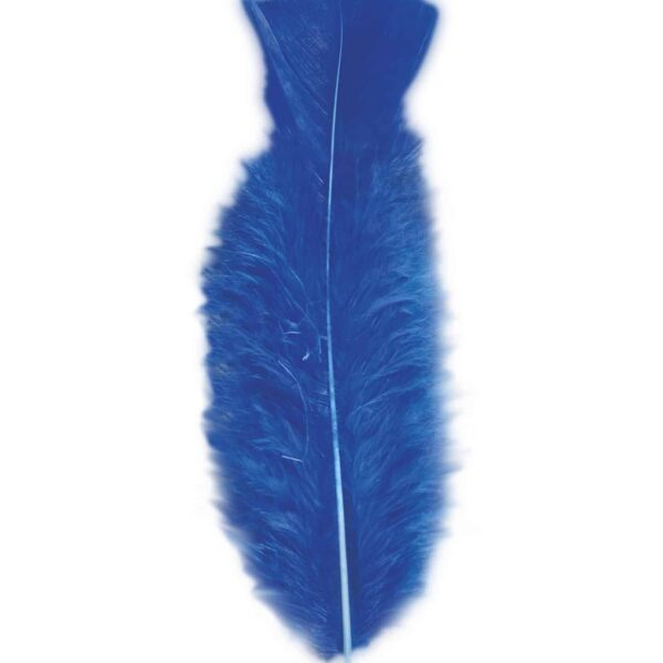 Piume Blu