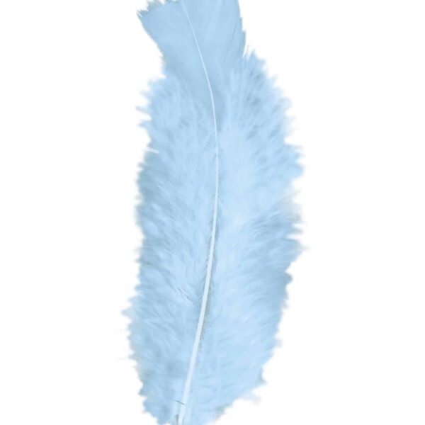 Piume Azzurre