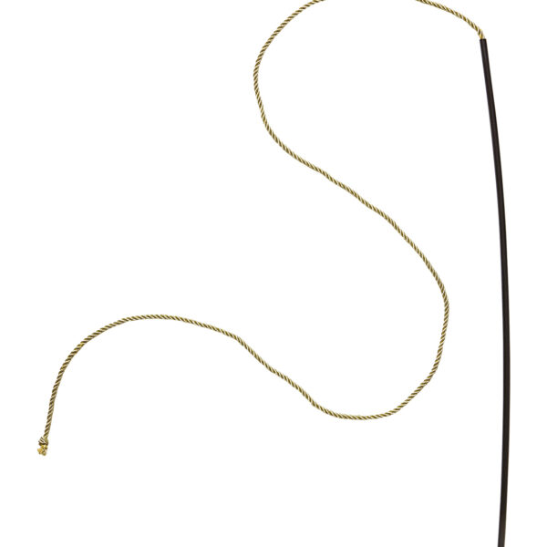 Frusta da Domatore