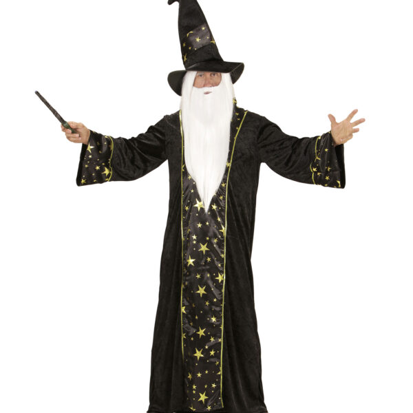 Costume da Mago Merlino