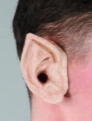 Orecchie da Elfo Adulto