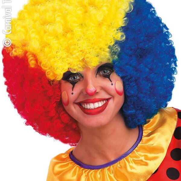 Parrucca da Clown Tricolore