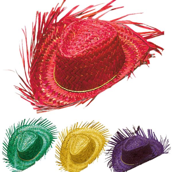Cappello in Paglia Hawaiano colori Assortiti