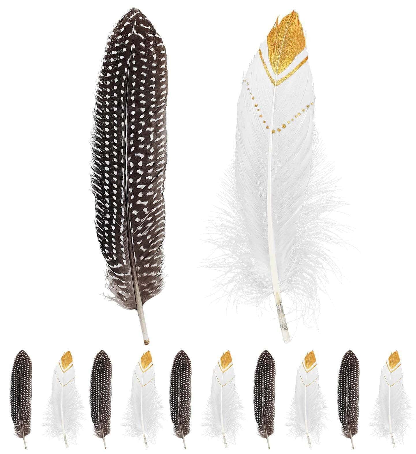 Piume da Indiano Assortite