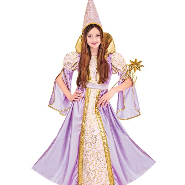 Costume da Fatina Chic Colori Assortiti