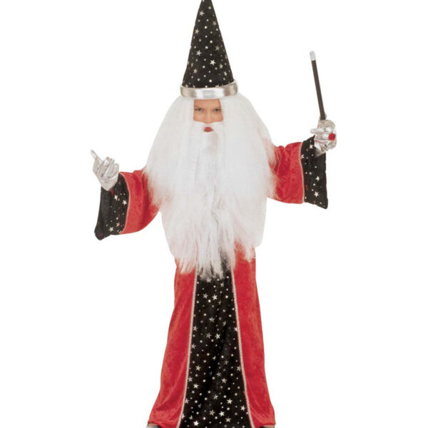 Costume da Mago Merlino