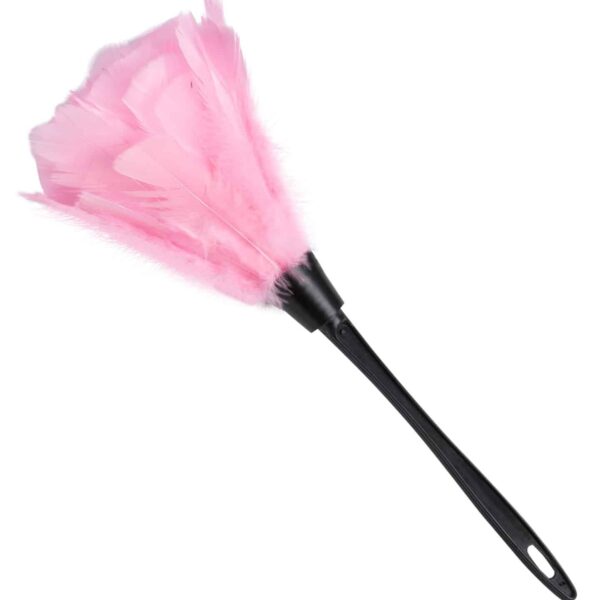 Spolverino Rosa