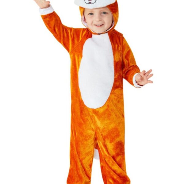 Costume da Gatto Arancione