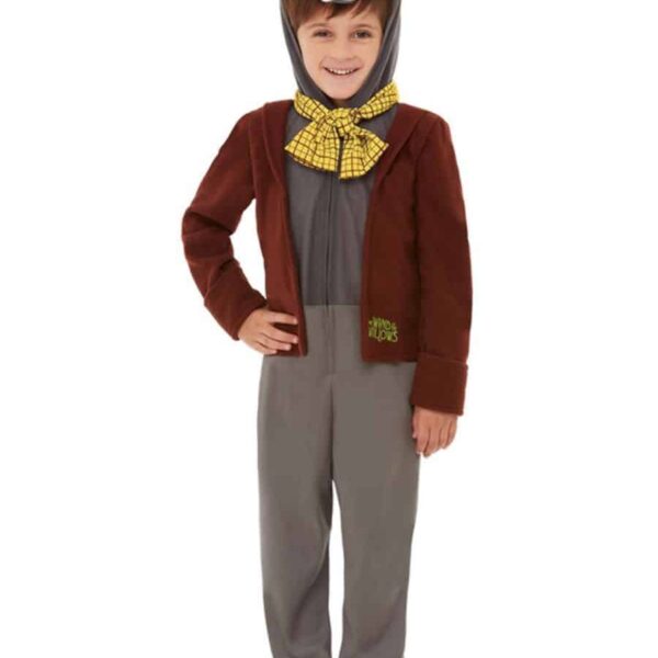 Costume da Badger