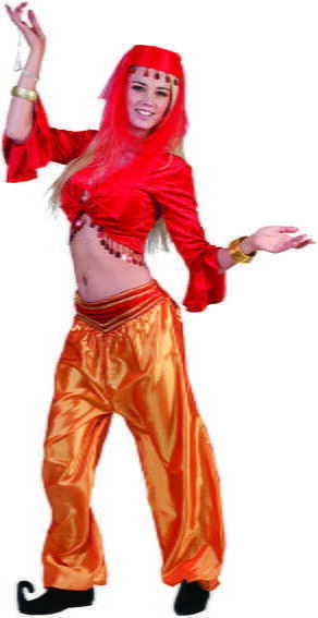 Top da Danzatrice Del Ventre