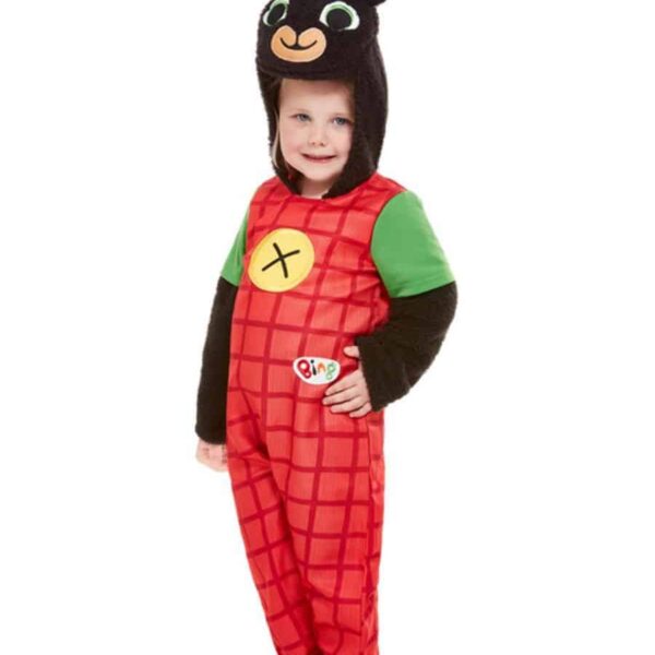 Costume da Bing