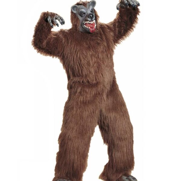 Mascotte da Orso Bruno