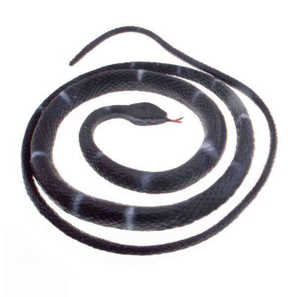 Serpente Vipera in Lattice