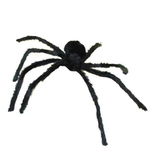Ragno Nero Gigante