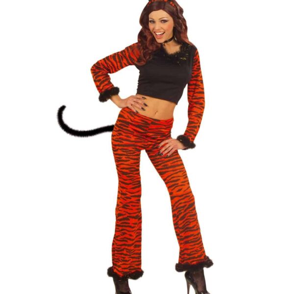 Costume da Tigre