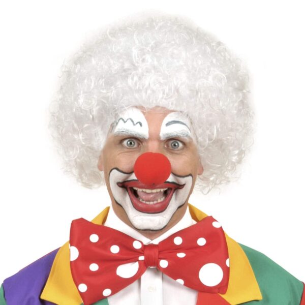 Parrucca da Clown Bianca