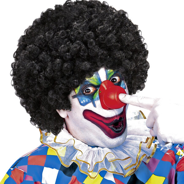 Parrucca Nera da Clown
