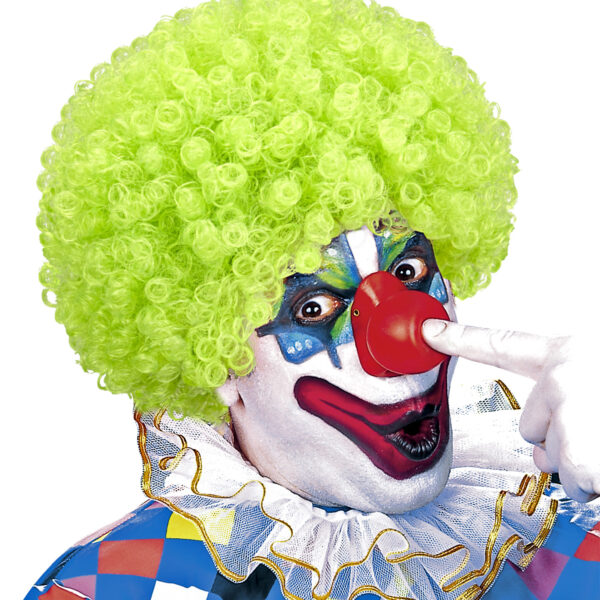Parrucca Verde da Clown