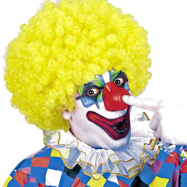 Parrucca Gialla da Clown