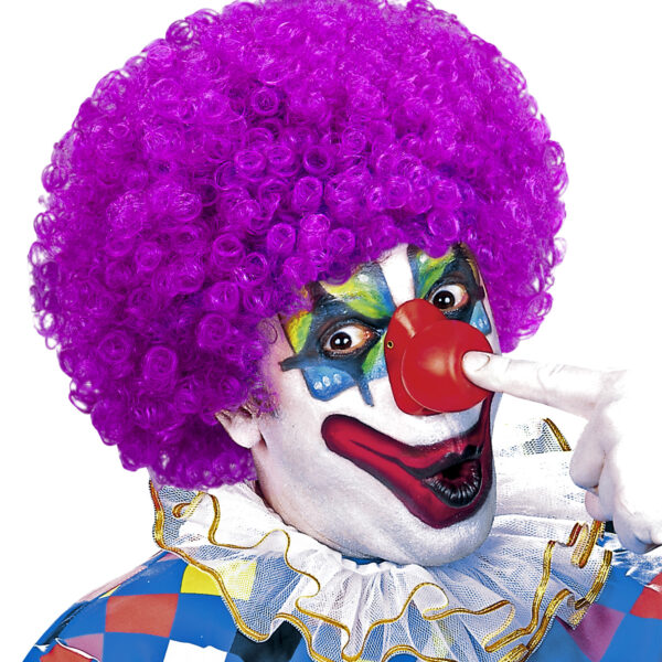 Parrucca Viola da Clown
